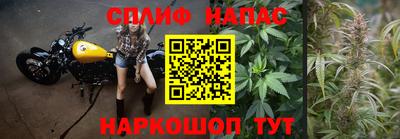 винт Донской