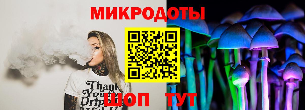 Галлюциногенные грибы Psilocybe Набережные Челны